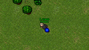 Luxo on screen