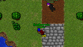 Sadayyic on screen
