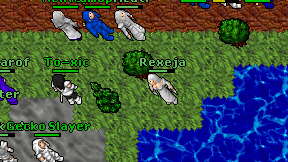 Rexeja on screen