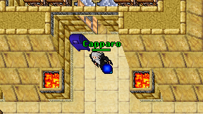 Capparo on screen