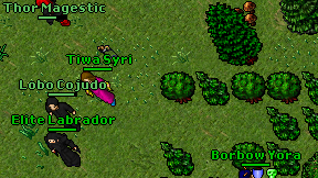Evil-Kakuro on screen