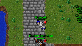 Gumak on screen