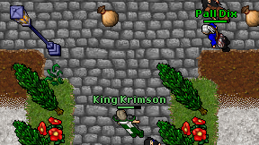 King Krimson on screen