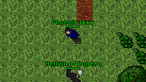 Phoenix Ikky on screen