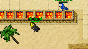 Hukogi on screen