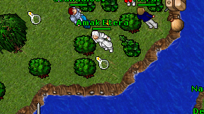 Amak Etera on screen