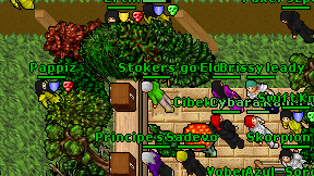 Stokers'go on screen