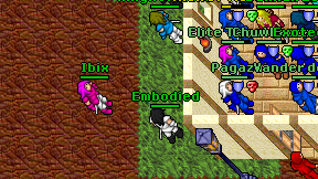 Ibix on screen