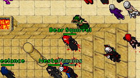 Bear Squirrel on screen