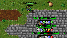 Loggana on screen