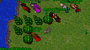Chi'co on screen