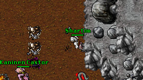 Shartim on screen