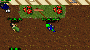 Kanibuzz on screen