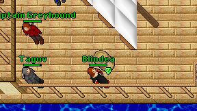 Blindea on screen