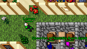 Levuv on screen