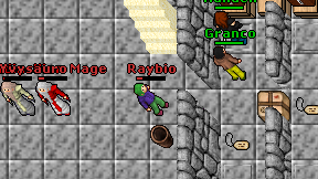 Raybio on screen