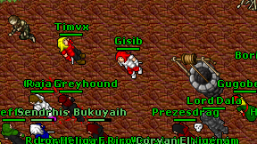 Gisib on screen