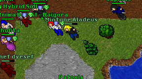 Mintone Aladeus on screen