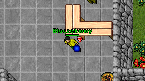 Bloczekwwy on screen