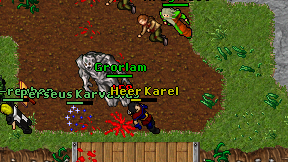 Heer Karel on screen