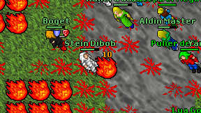 Stein Dibob on screen