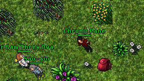 Chronic Pane on screen