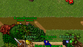 Konobo on screen