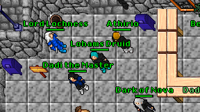 Lohams Druid on screen