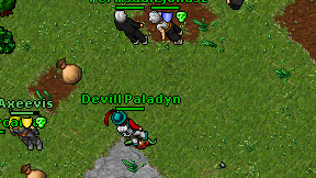 Devill Paladyn on screen