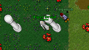 Kiper Druid on screen