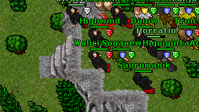 Walicizjapy on screen