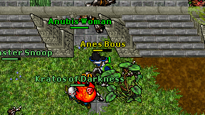 Anes Bous on screen