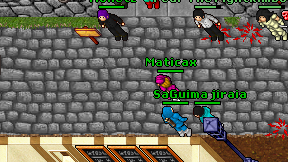 Maticax on screen