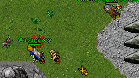 Watarazzy on screen