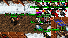 Bixtom Druid on screen