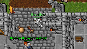 Swaller on screen