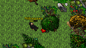Mibagaxo on screen