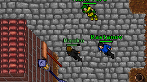 Hauko on screen