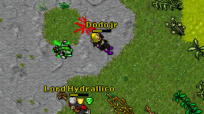 Dodojr on screen