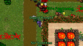 Dupid'Knight on screen
