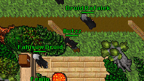 Butzz on screen