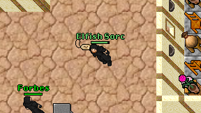 Elfish Sorc on screen
