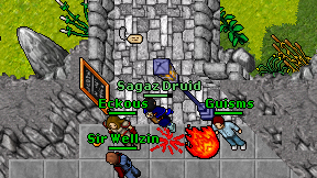 Sagaz Druid on screen
