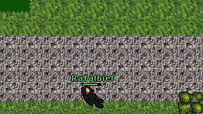 Rafalbiel on screen