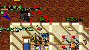 Kanzi on screen