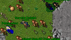 Seyels Knight on screen