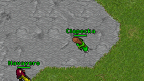 Clapecka on screen