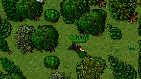 Affup on screen