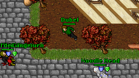 Dubel on screen