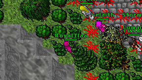 Royal flaa on screen